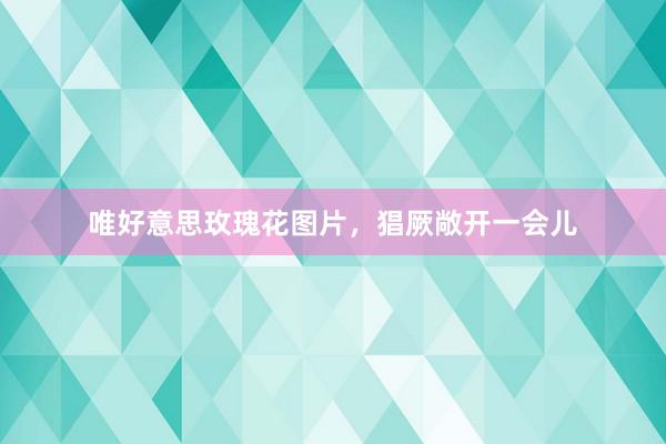 唯好意思玫瑰花图片,猖厥敞开一会儿