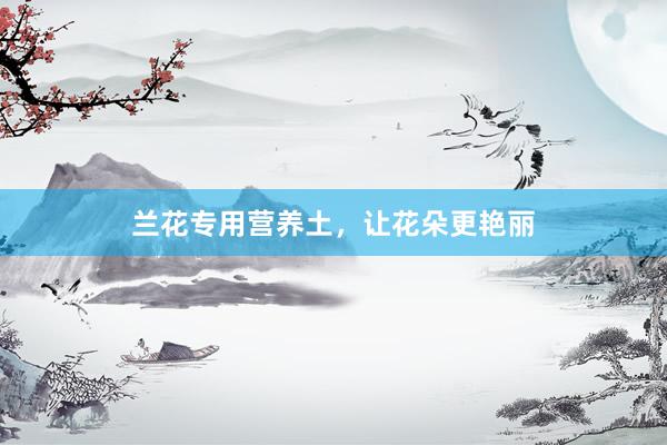 兰花专用营养土，让花朵更艳丽
