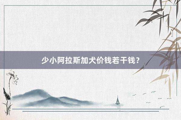 少小阿拉斯加犬价钱若干钱？
