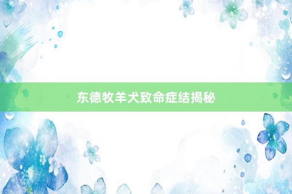 东德牧羊犬致命症结揭秘