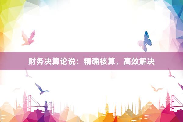 财务决算论说:精确核算,高效解决
